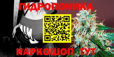 амф Волгодонск